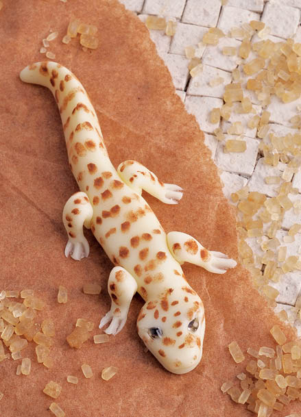 Leopard Gecko