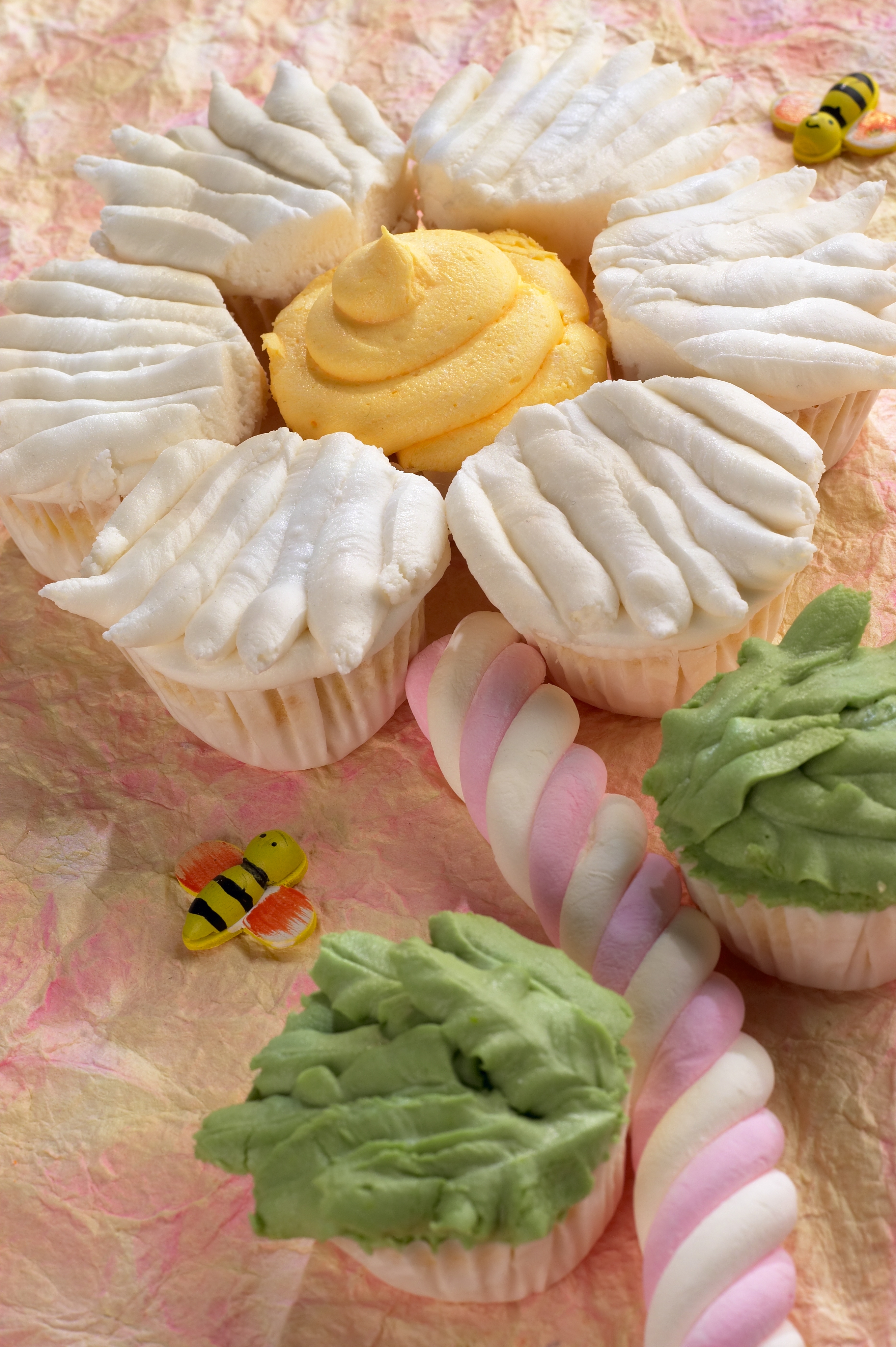 Daisy Daisy Cupcakes