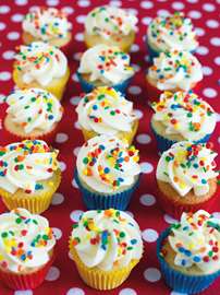 Basic Mini Cupcakes