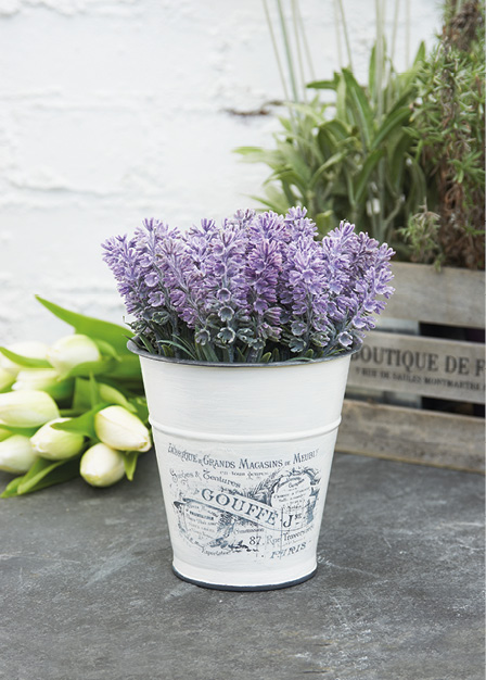 Lavender Pot